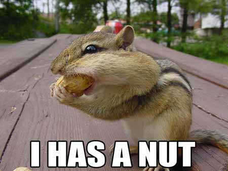 I has a nut