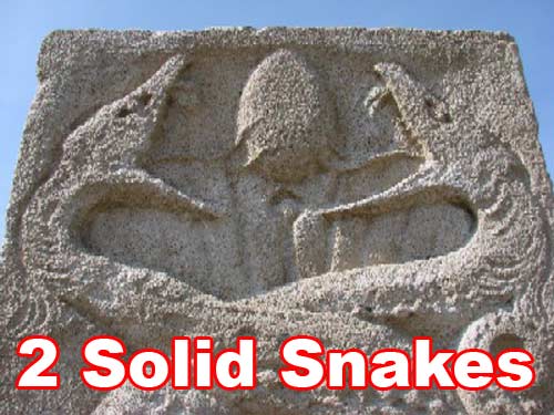 Solid Snake en vrai