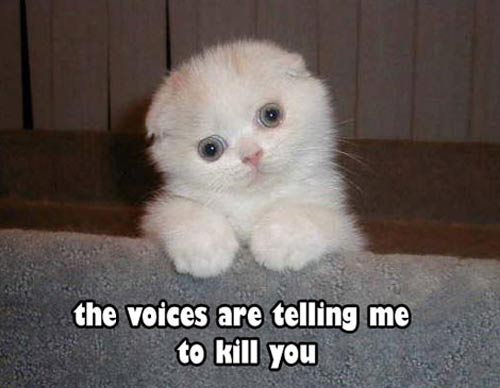 the voices are telling me to kill you