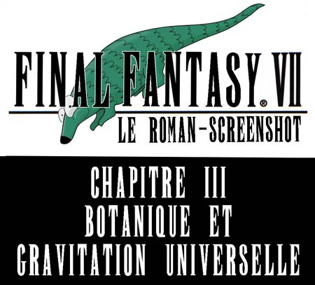Final fantasy 7 le roman screenshot chapitre 3