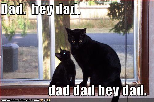 Le topic des chatons ! - Page 4 Lolcats-funny-pictures-hey-dad.jpg