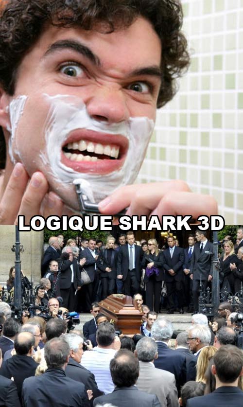 Shark 3D la critique pourrie
